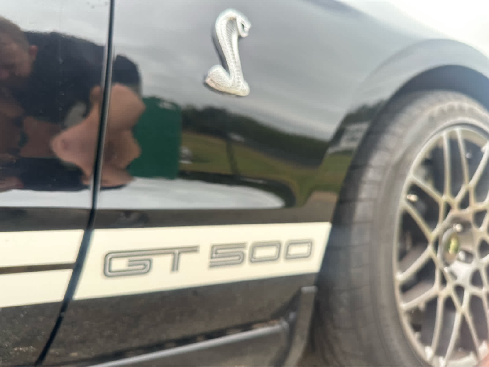 2013 Ford Shelby GT500 Shelby GT500