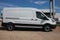 2026 Ford Transit Cargo Van
